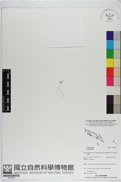 登錄號:S200059藏品圖，第1張