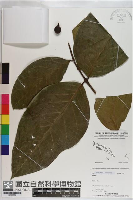 登錄號:S201059藏品圖，第1張