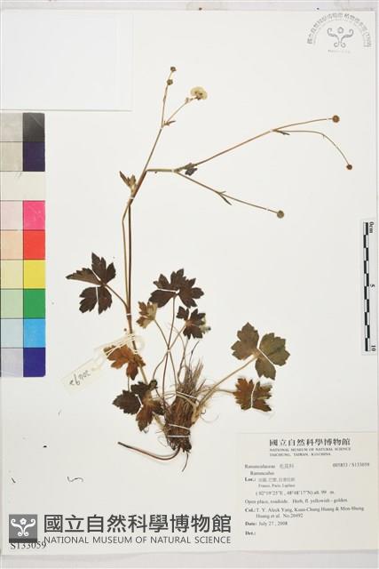 登錄號:S133059藏品圖，第1張