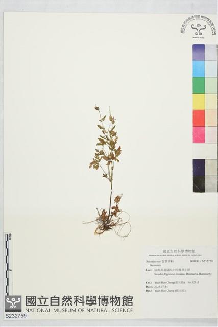 登錄號:S232759藏品圖，第1張
