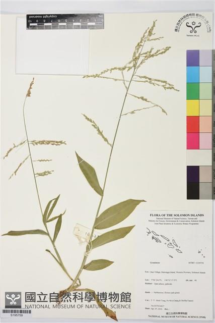 登錄號:S195759藏品圖，第1張