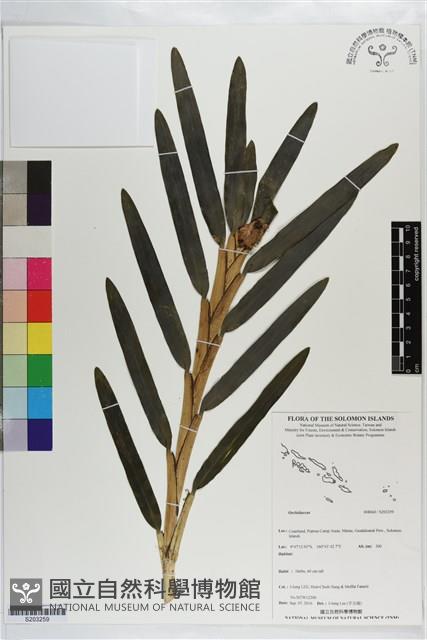 登錄號:S203259藏品圖，第1張