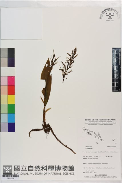登錄號:S201359藏品圖，第1張