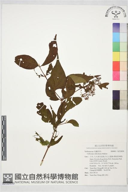 登錄號:S232859藏品圖，第1張
