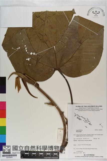 登錄號:S200859藏品圖，第1張