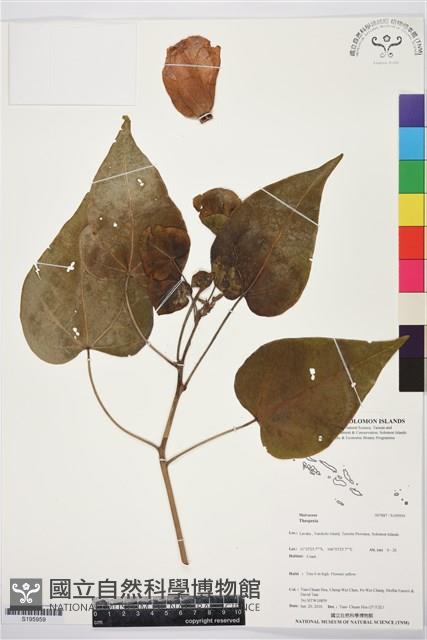 登錄號:S195959藏品圖，第1張