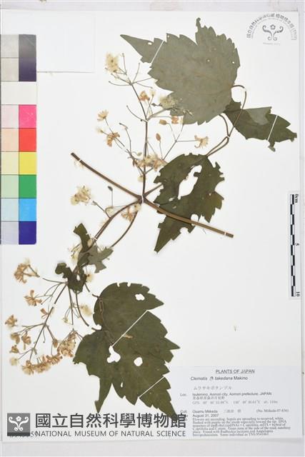 登錄號:S143559藏品圖，第1張