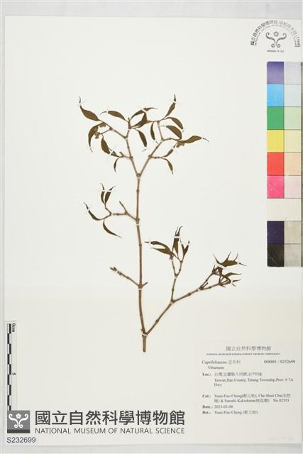 登錄號:S232699藏品圖，第1張