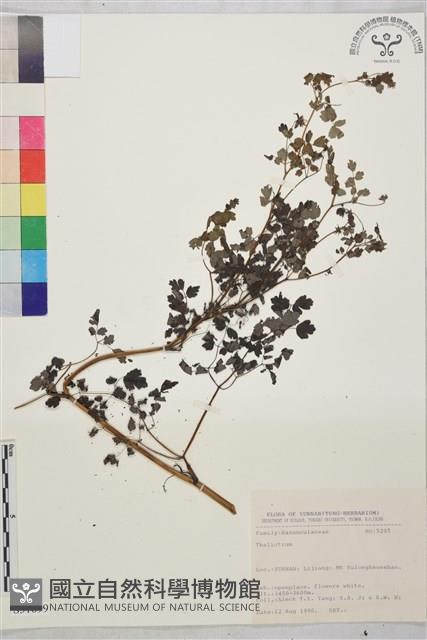 登錄號:S031699藏品圖，第1張