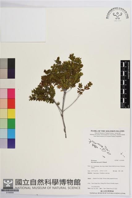 登錄號:S195699藏品圖，第1張