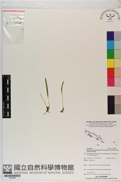 登錄號:S200099藏品圖，第1張