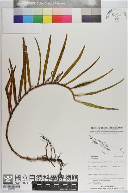 登錄號:S201099藏品圖，第1張