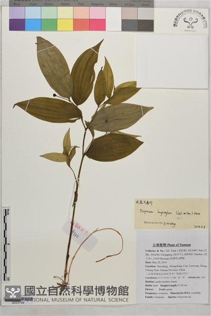 登錄號:S203799藏品圖，第1張