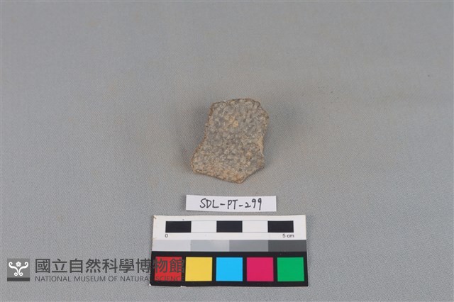 陶片藏品圖，第1張