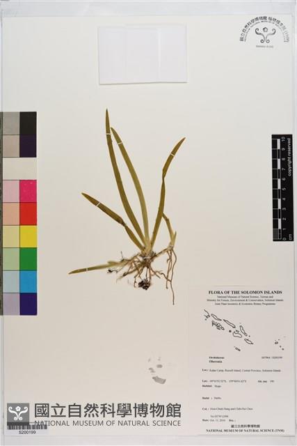 登錄號:S200199藏品圖，第1張