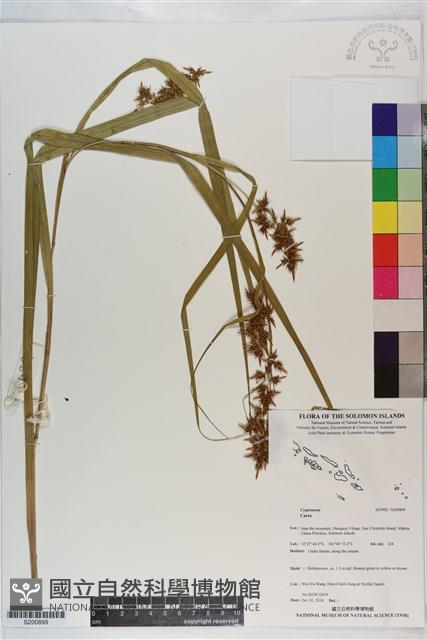 登錄號:S200899藏品圖，第1張