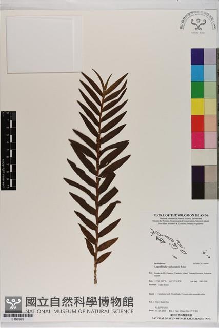 登錄號:S199999藏品圖，第1張