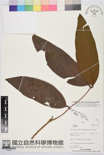 登錄號:S195639藏品圖，第1張