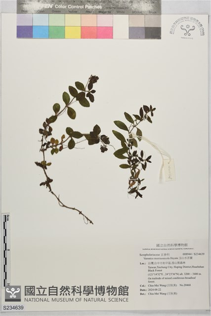 玉山水苦賈藏品圖，第1張