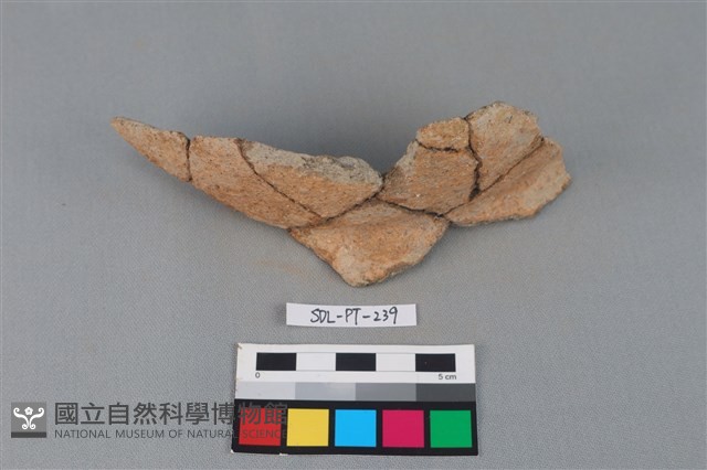 陶罐藏品圖，第1張