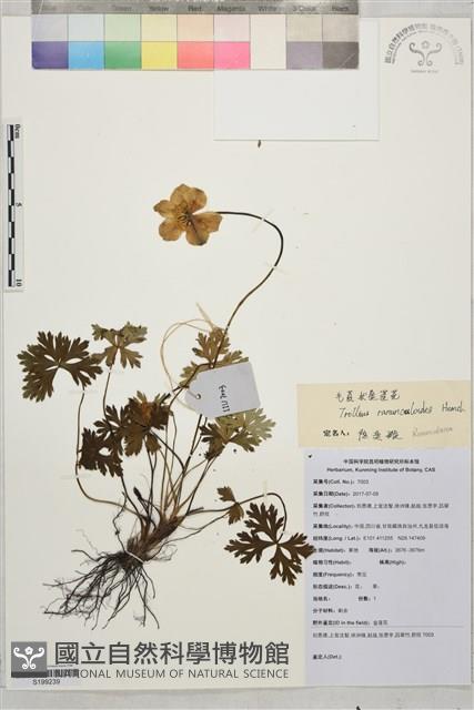 登錄號:S199239藏品圖，第1張