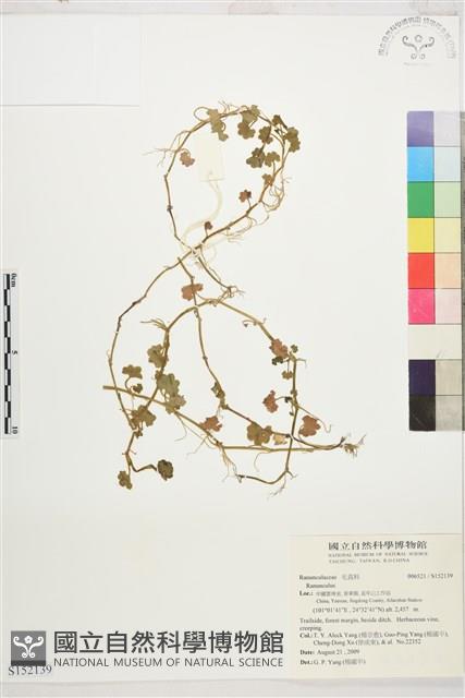 登錄號:S152139藏品圖，第1張