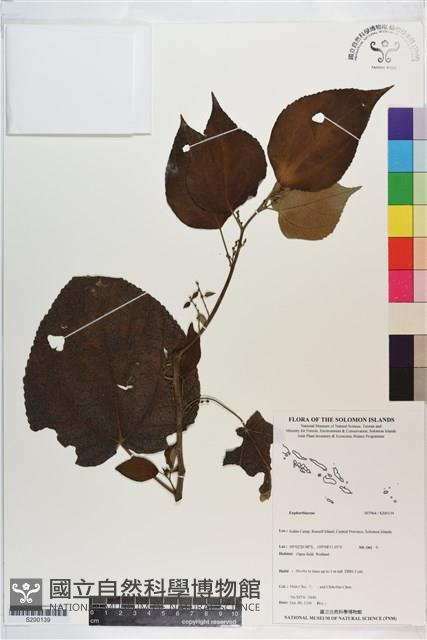 登錄號:S200139藏品圖，第1張