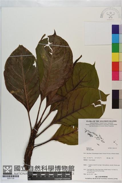 登錄號:S201139藏品圖，第1張