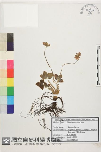 登錄號:S120339藏品圖，第1張