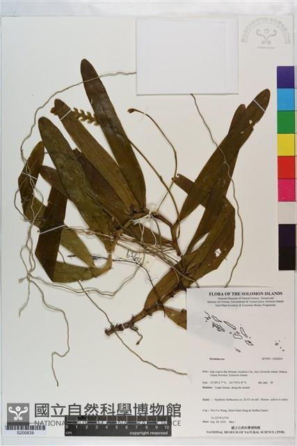 登錄號:S200839藏品圖，第1張