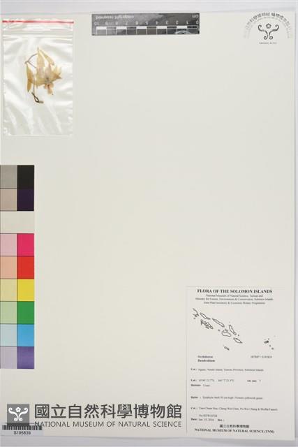 登錄號:S195839藏品圖，第1張