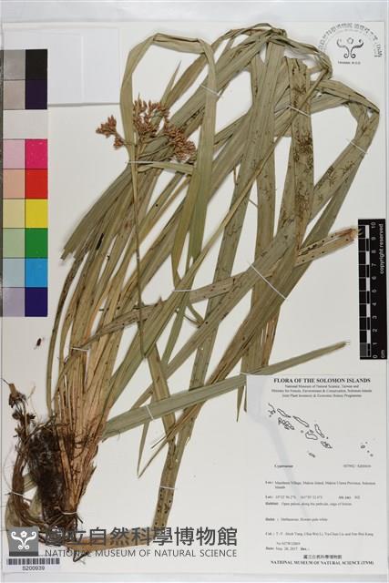 登錄號:S200939藏品圖，第1張