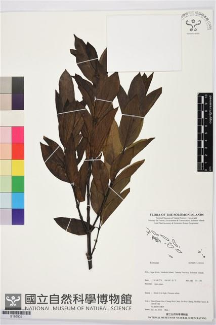 登錄號:S195939藏品圖，第1張