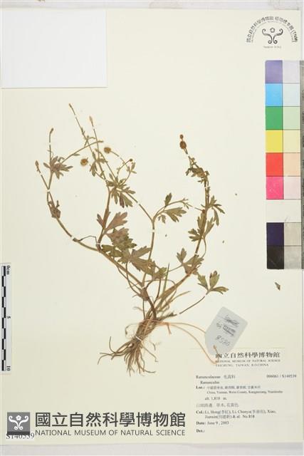 登錄號:S140539藏品圖，第1張