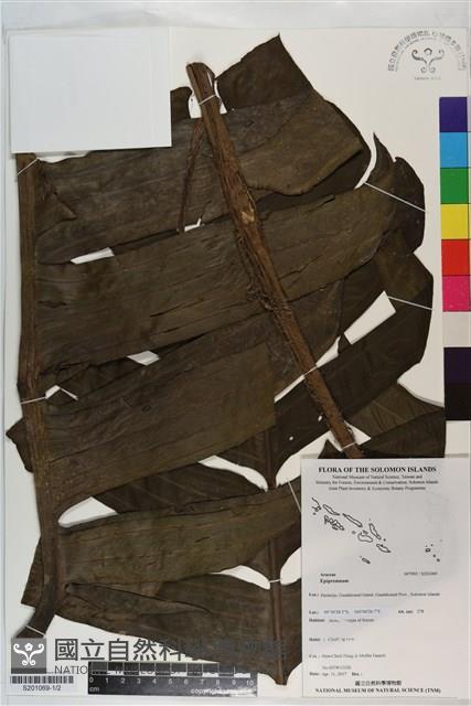 登錄號:S201069藏品圖，第1張