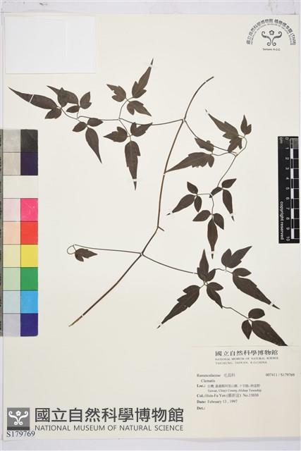 登錄號:S179769藏品圖，第1張