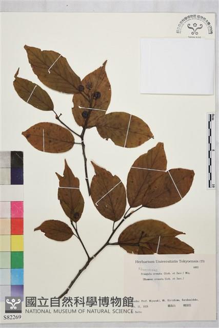 登錄號:S082269藏品圖，第1張