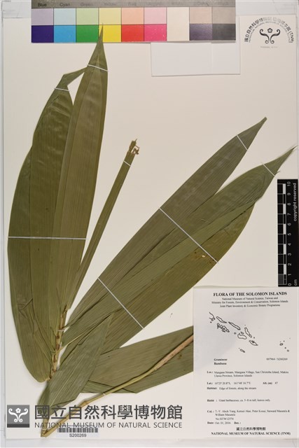 登錄號:S200269藏品圖，第1張