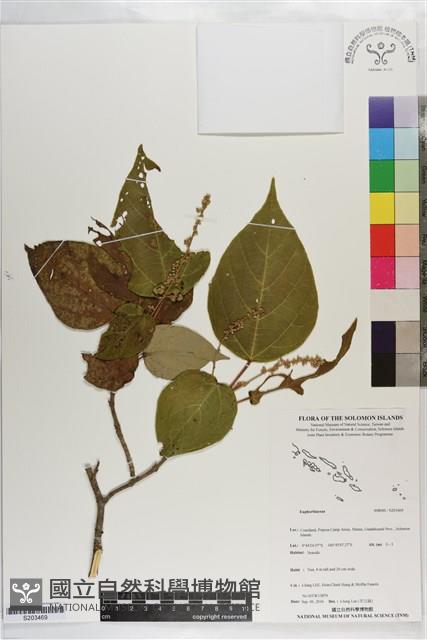 登錄號:S203469藏品圖，第1張