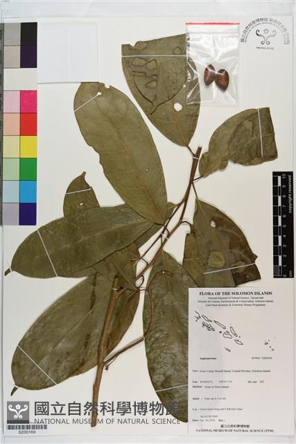 登錄號:S200169藏品圖，第1張