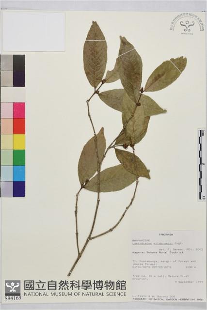 登錄號:S094169藏品圖，第1張