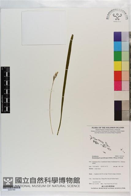 登錄號:S203169藏品圖，第1張