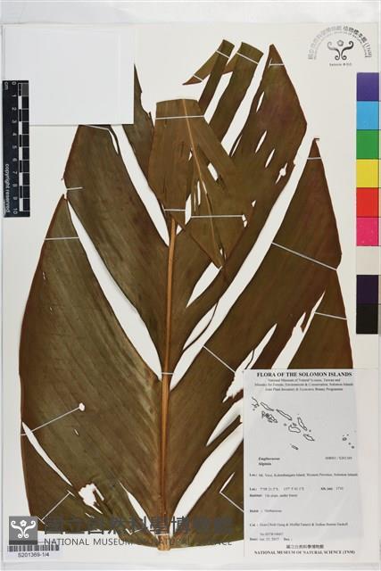 登錄號:S201369藏品圖，第1張