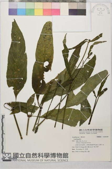 登錄號:S204369藏品圖，第1張