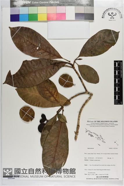 登錄號:S203369藏品圖，第1張