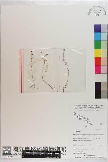 登錄號:S200869藏品圖，第1張