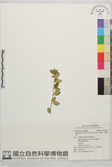 羊角藤、武靴藤藏品圖，第1張