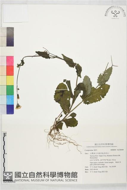 登錄號:S230049藏品圖，第1張
