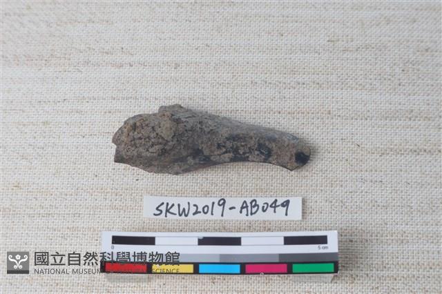獸骨藏品圖，第1張