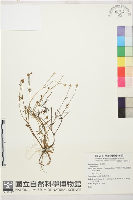 登錄號:S074049藏品圖，第1張